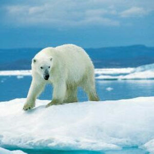 Meet your Posher, Hailey